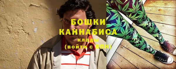 молекула духа Аркадак