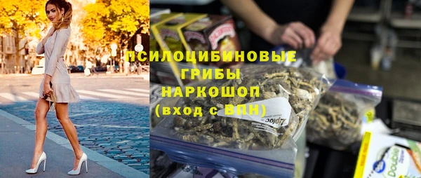 молекула духа Аркадак