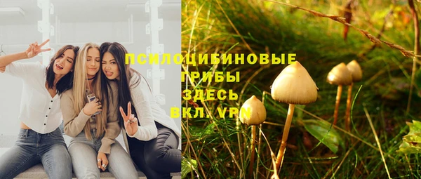 молекула духа Аркадак