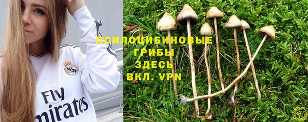 дмт Армянск