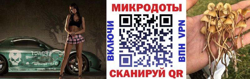 Купить где  Уржум  Галлюциногенные грибы GOLDEN TEACHER 